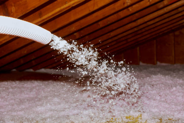 Best DIY Insulation Kits and Guidance in Boaz, AL