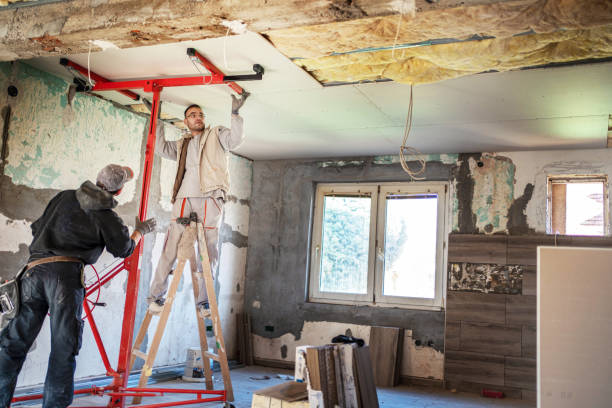 Best Specialized Insulation Services in Boaz, AL