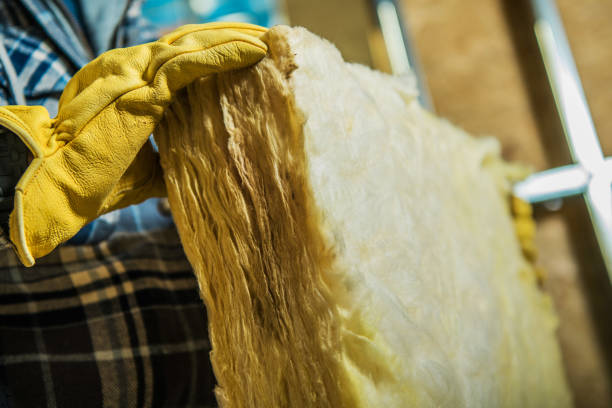 Best Geographic-Specific Insulation Services in Boaz, AL
