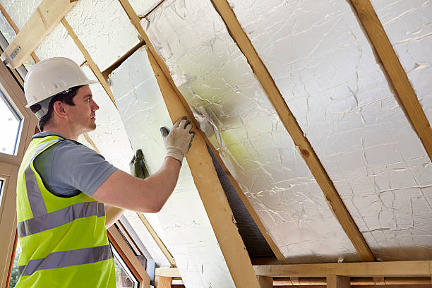 Best Insulation Maintenance and Repair in Boaz, AL