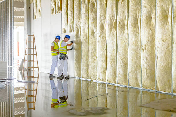 Types of Insulation We Offer in Boaz, AL